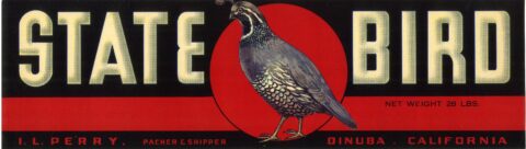 State Bird